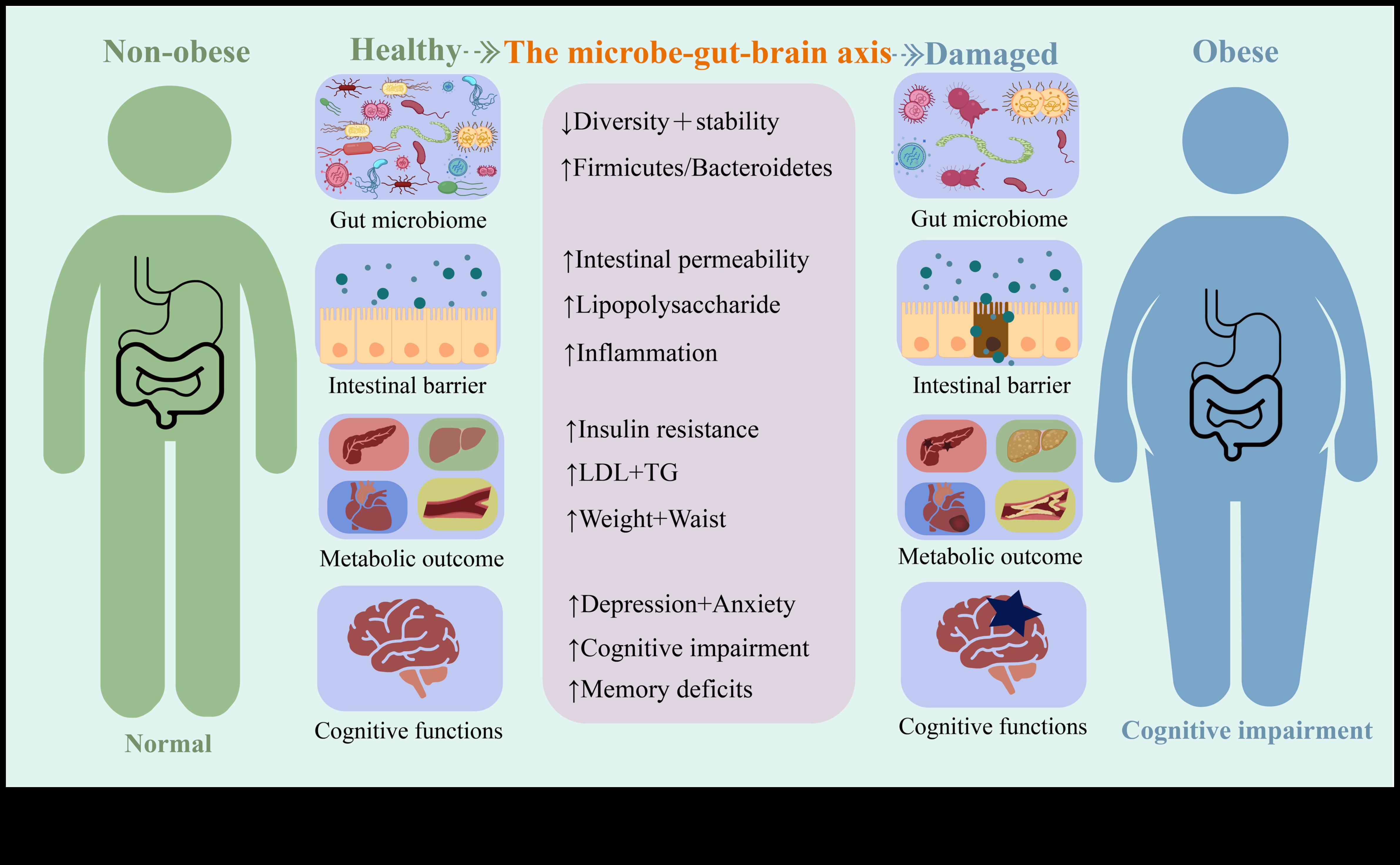 Simptomu safari: ceļojums, apzinoties uztura trūkumu