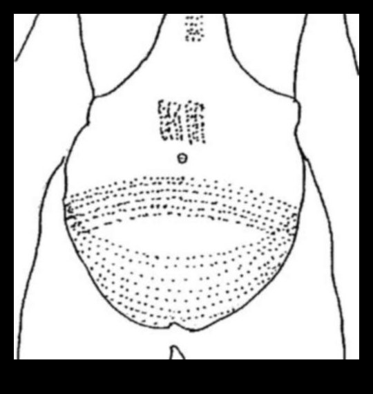 Tintes Odiseja: Mūsdienu tetovējumu meistarības hronikas atklāšana