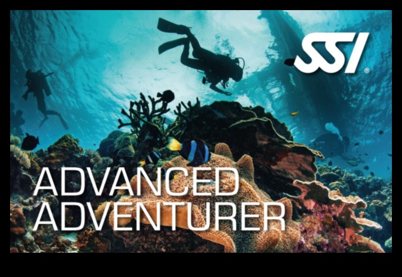 Mācību lagūna: izglītojošas spēles prasmju attīstībai