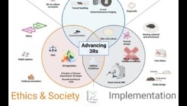 Inovāciju katalizatori: ētisku panākumu paātrināšana