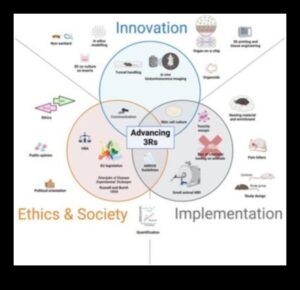 Inovāciju katalizatori: ētisku panākumu paātrināšana