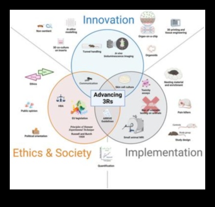 Inovāciju katalizatori: ētisku panākumu paātrināšana