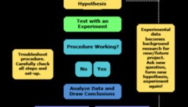 Stratēģiskās alianses: uz sadarbību balstītas pieejas uzņēmējdarbības izaugsmei