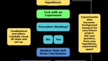 Stratēģiskās alianses: uz sadarbību balstītas pieejas uzņēmējdarbības izaugsmei